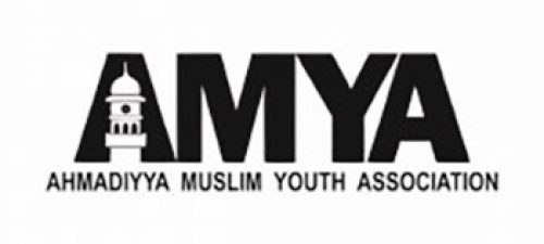 AMYA-500x225